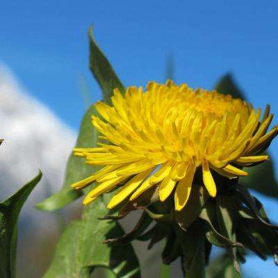 ManBetX纯净版截图