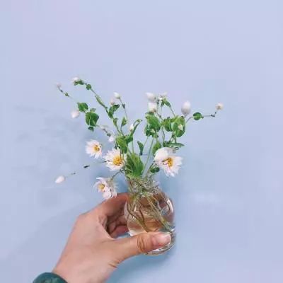 腾讯分分app下载