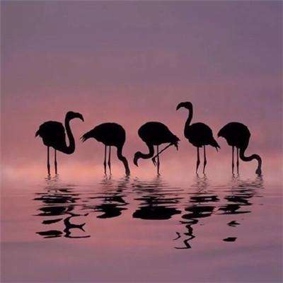 ManBetX纯净版截图